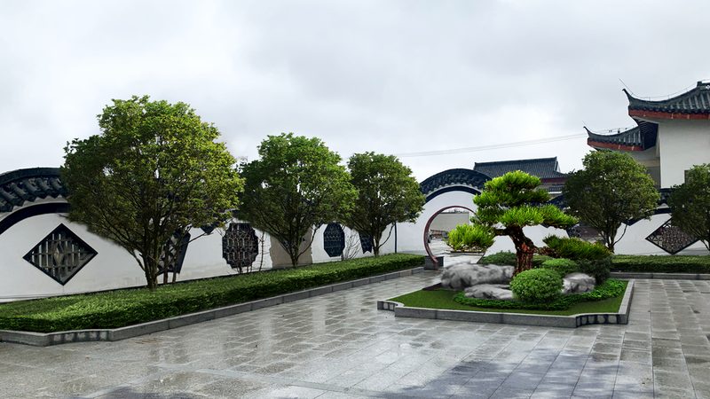 边坡绿化苗木定制种植：如何打造稳固生态景观**