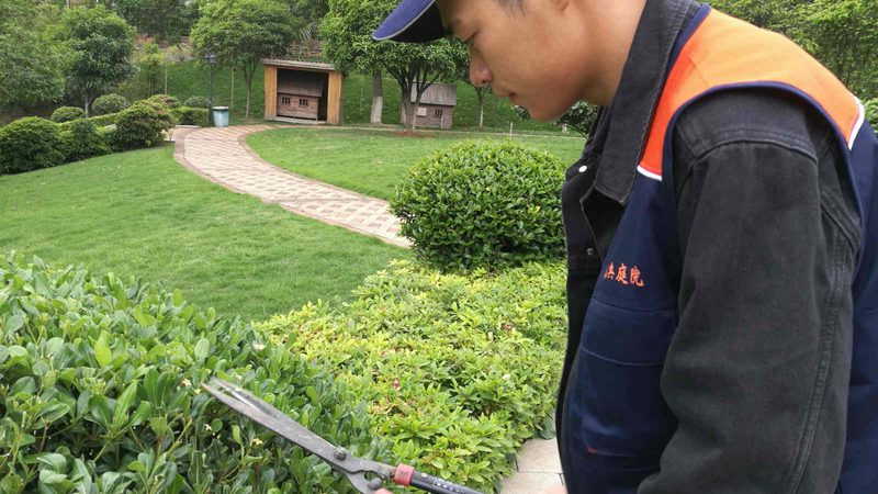 为了更好地选择教程，可以对比评测不同教程的优缺点。以下是一些对比评测的要点：