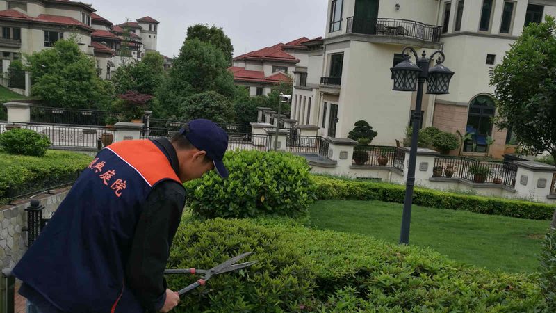 草坪病害虫害识别对照图：如何准确诊断与防治
