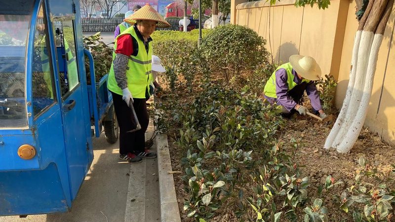 高速公路绿化养护，别让“绿”变成“乱