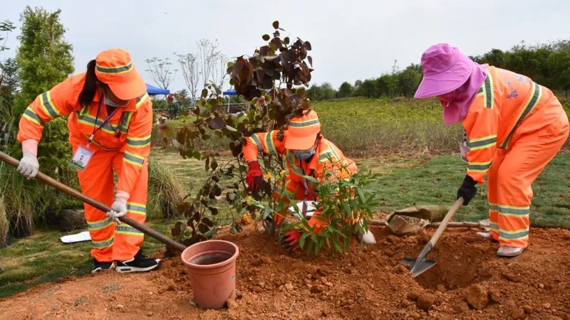 别墅庭院绿化维护保养一年多少钱？揭秘庭院绿化维护的定价因素