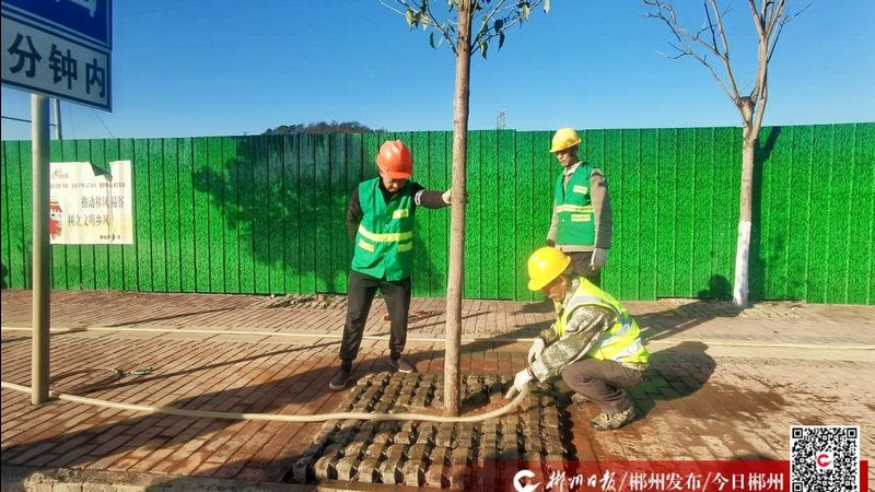 广州草坪养护：五大关键点，让您的草坪生机盎然**