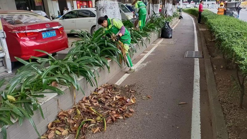 屋顶绿化防水施工步骤解析**