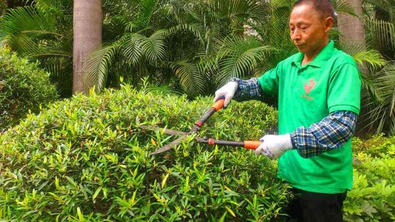 庭院设计施工的工期受到多种因素的影响，主要包括：