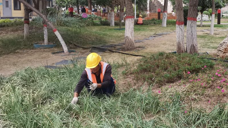 小别墅花园设计：入户景观的五大关键要素**