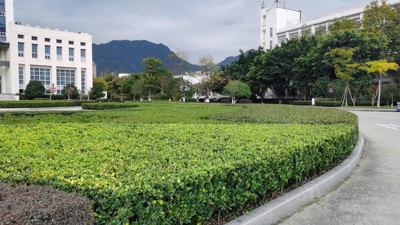 项目方案是投标文件的核心内容，应包括以下要点：