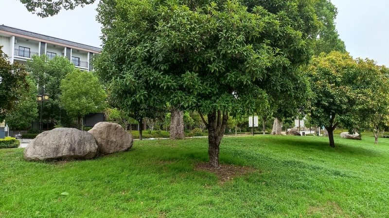 边坡绿化植生袋：如何选择品质与性能兼备的产品**