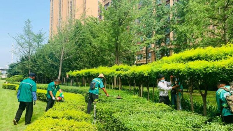 透水砖与石材之争：小区景观中谁才是最佳选择？**